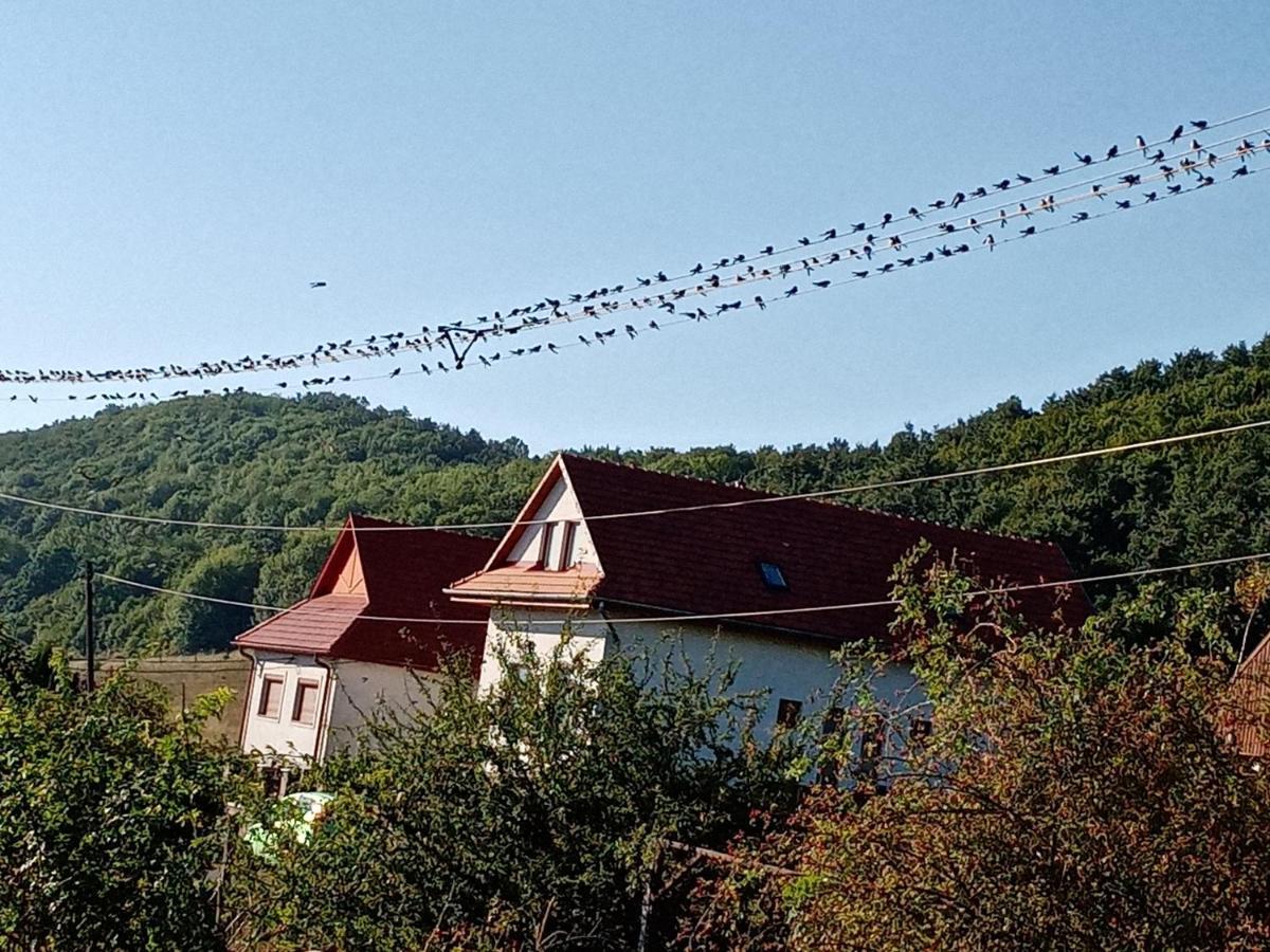 Ferienwohnung Kalaris Vendeghaz Hollókő Exterior foto